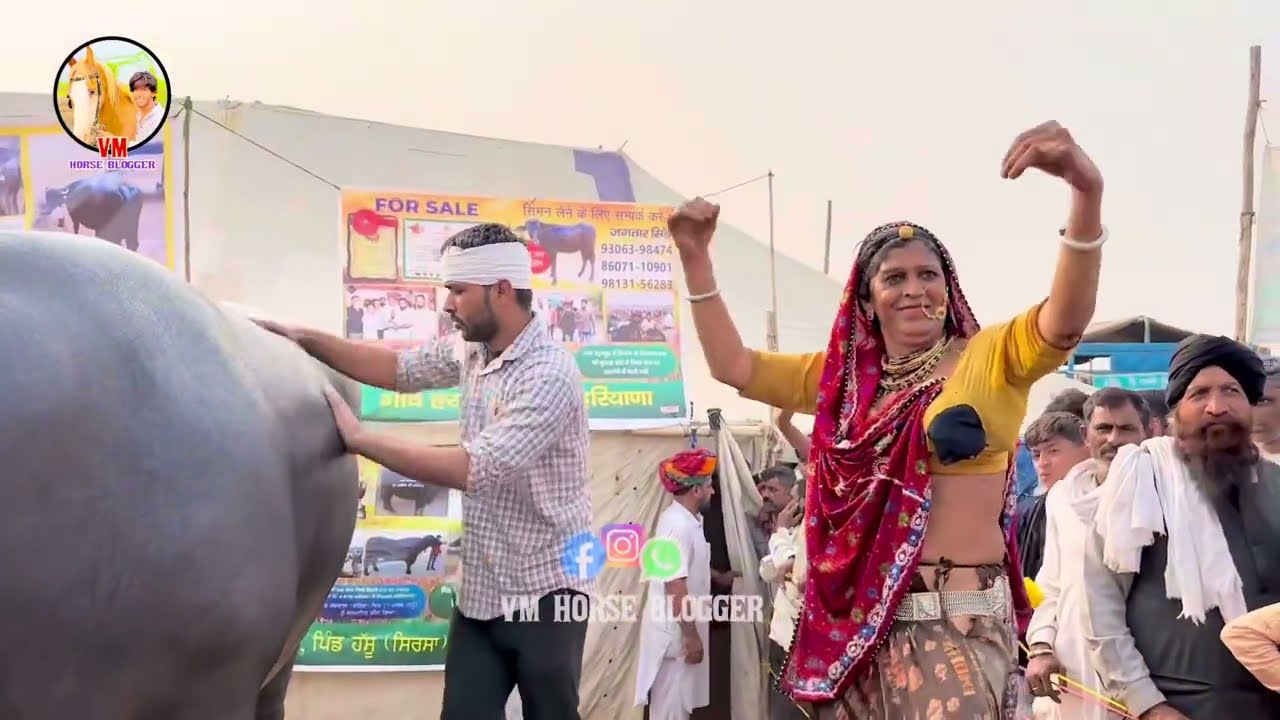 सुशीला बाई ने पांडे को बनाया जमाई
