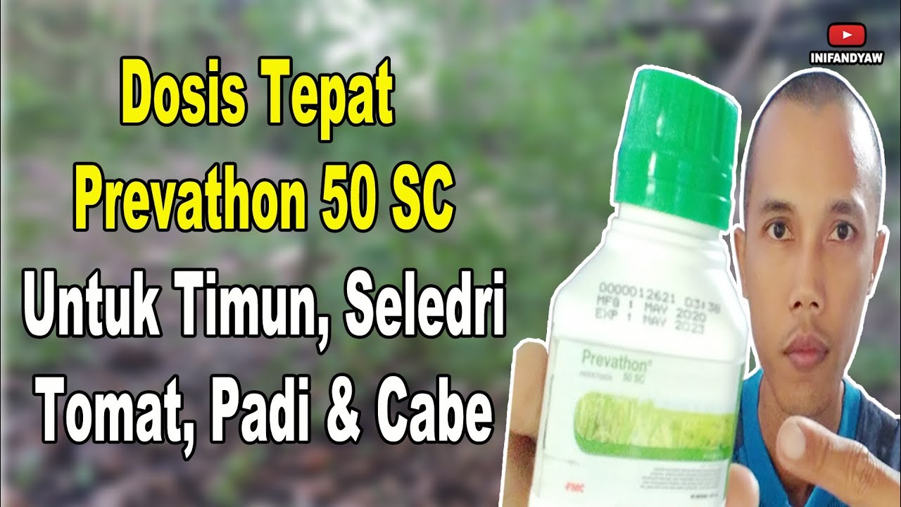 Dosis Insektisida Prevathon 50 SC & Keunggulannya