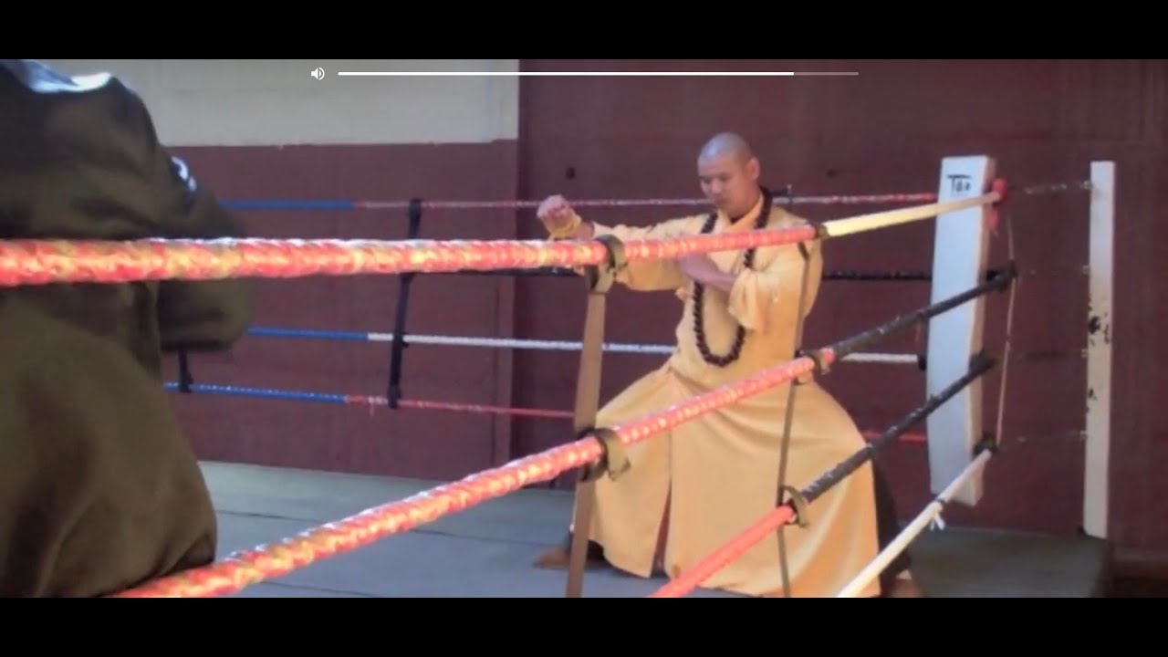 Shaolin monks training.