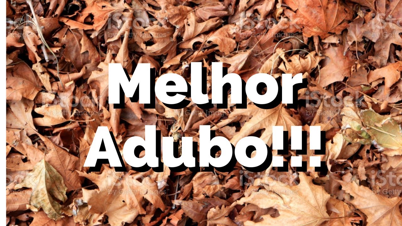 Como fazer COMPOSTAGEM de Folhas Secas, TRUQUE QUE AGILIZA EM 5X A DECOMPOSIÇÃO
