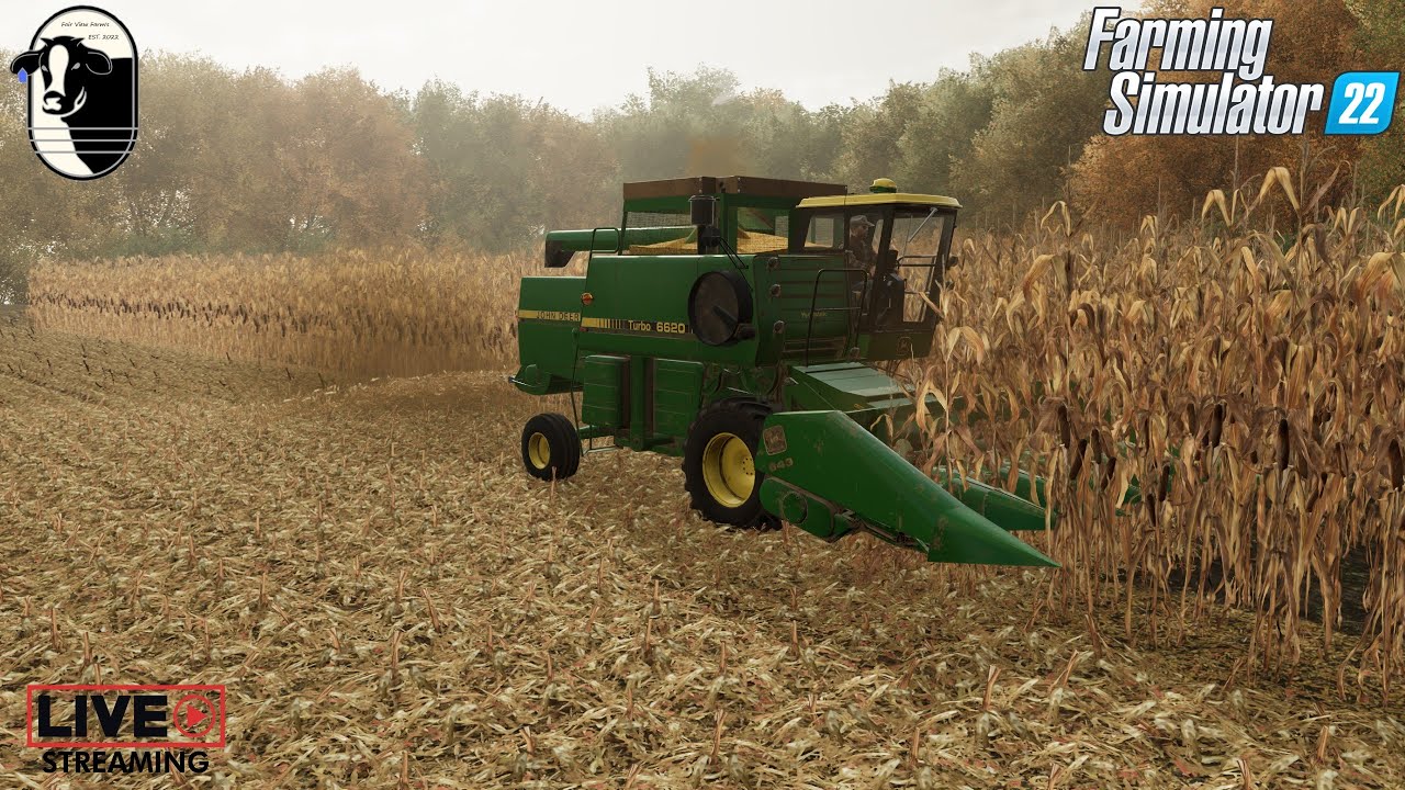 Shelling Tons of Corn!! | Taheton County, Iowa | Multiplayer | Live | Farming Simulator 22