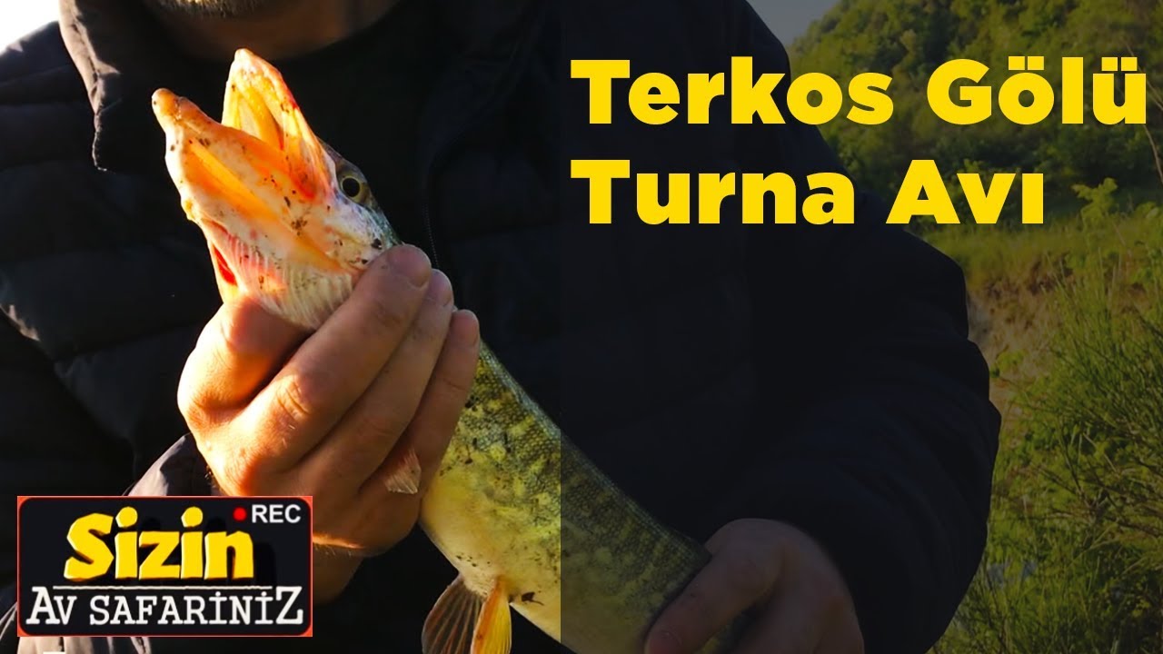 Terkos G&ouml;l&uuml; Turna Avı Sizin Av Safariniz Yaban Tv