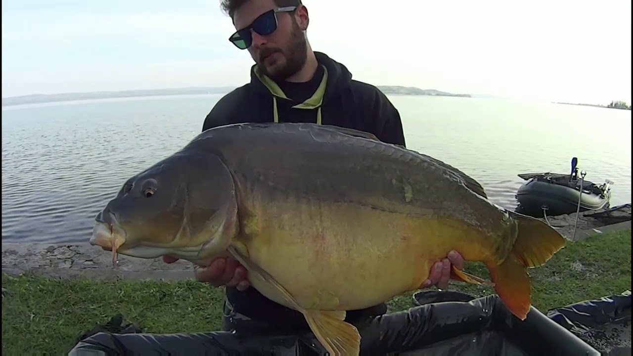 Pesca carpfishing lake Balaton IBCC 2018 - big mirror