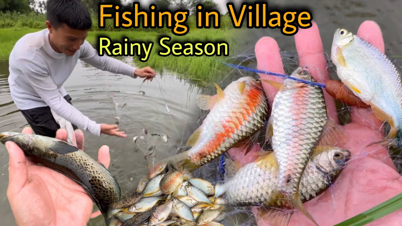 Fishing in Village After Long Time || OMG 😦 इतनी सारी मछलियाँ || आज तो मजा आ गया || Village Fishing