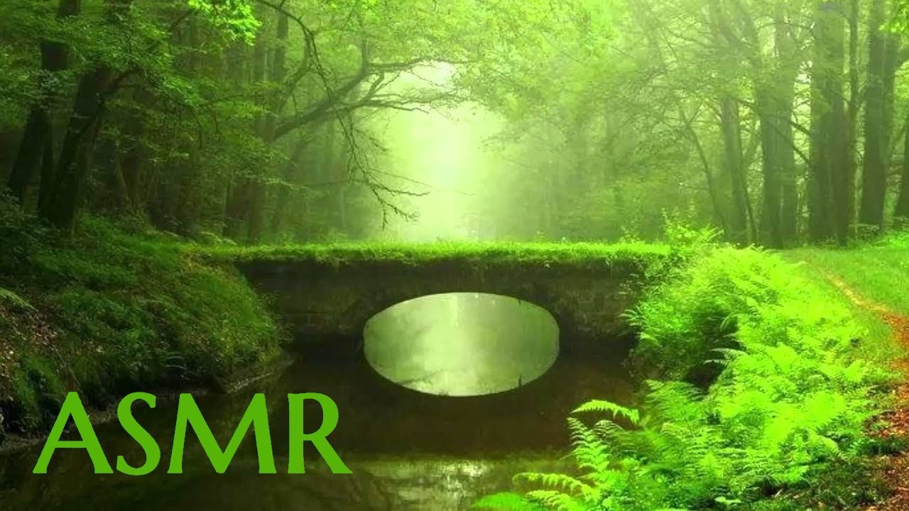 Le Monde Secret des Arbres - Histoire pour s'endormir, ASMR, Botanique, Paléontologie