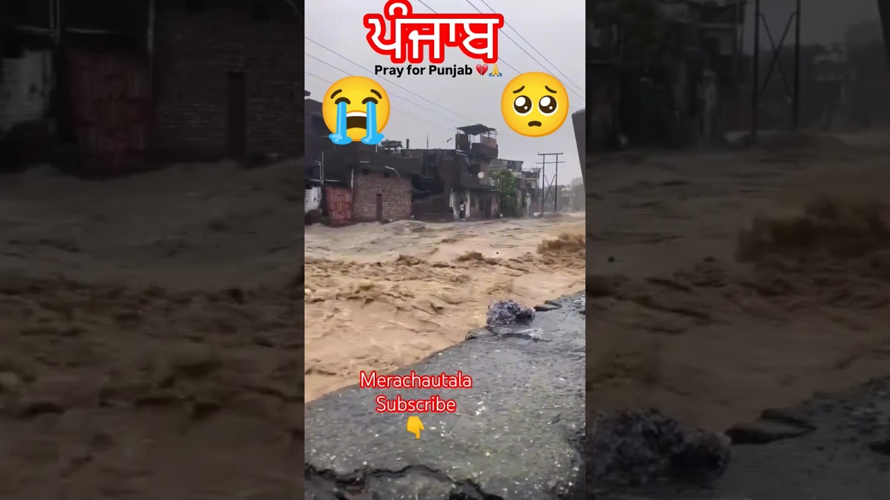 Punjab flood 💔😢#punjab #sad  #viral #video  #merachautala  #animal #videos  #help  #viralvideo #news