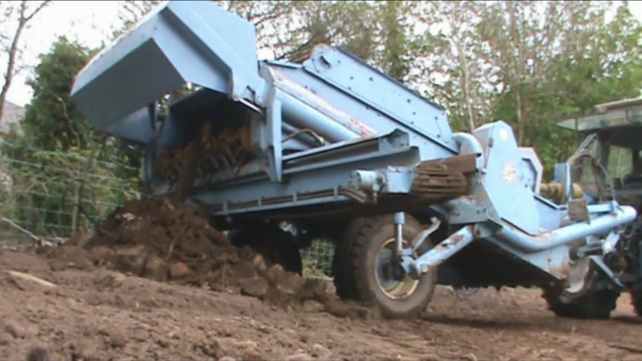 Plantin The Spuds