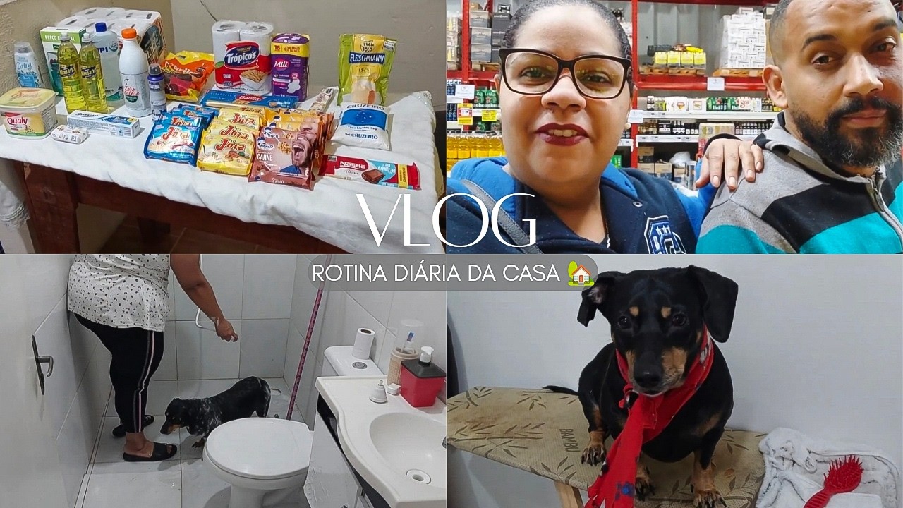 ROTINA DIÁRIA🏡 Compras no mercado novo🤩 | Dei banho na Dory | Organização🏠 Casa da Bi