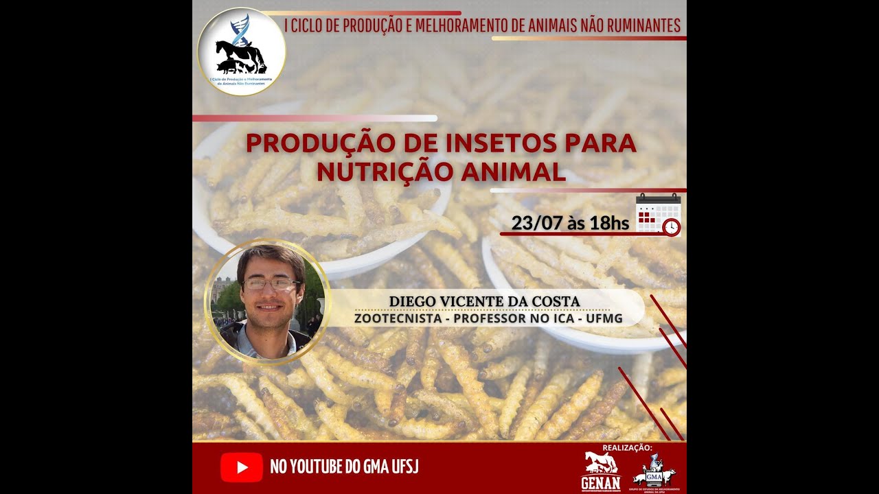 Produção de insetos para nutrição animal