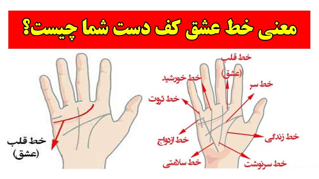 آیا میدانید معنی خط عشق کف دست شما چیست؟
