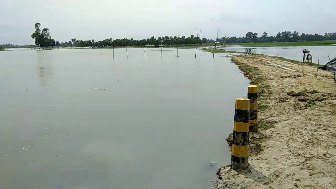 Jadu Kadai Thakor video