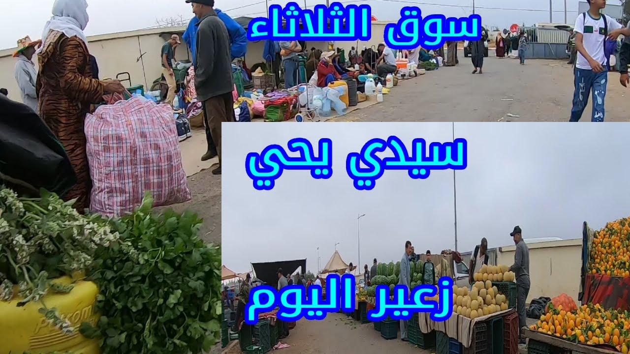 جولة في سوق الثلاثاء🛒سيدي يحيى زعير😱صباح اليوم  #سوق_اسبوعي
