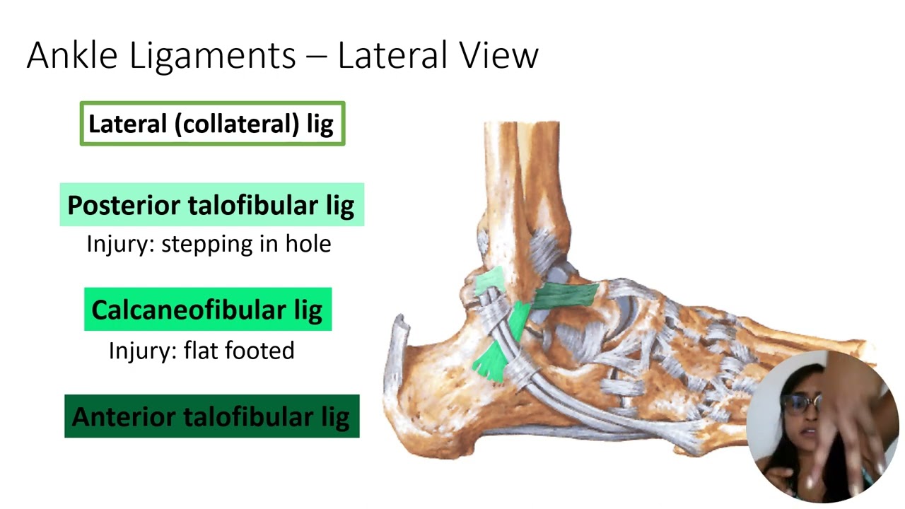 Foot Mnemonics