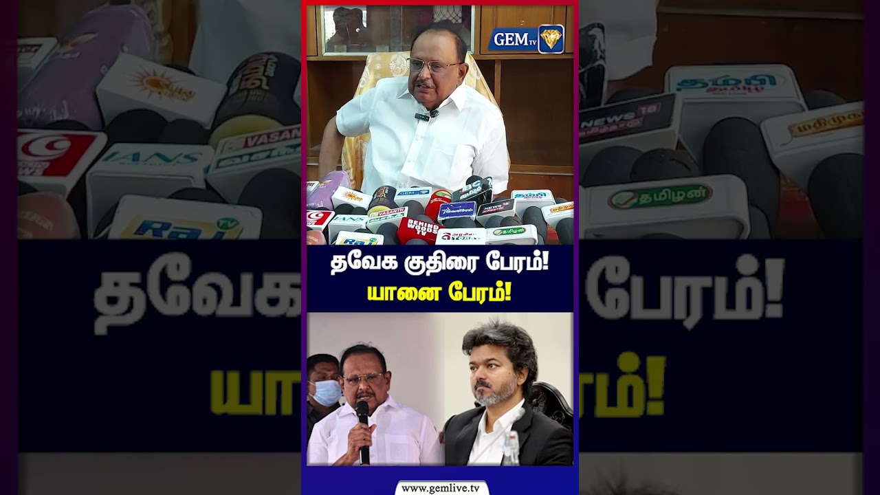 தவேக குதிரை பேரம்! யானை பேரம்! - ரகுபதி சர்ச்சை பேச்சு | TVK | Vijay | DMK | S. Regupathy | Gem TV
