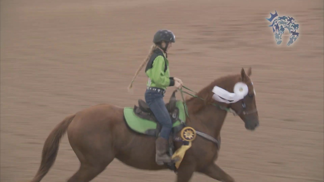 2019 Thoroughbred Makeover Finale: Barrel Racing