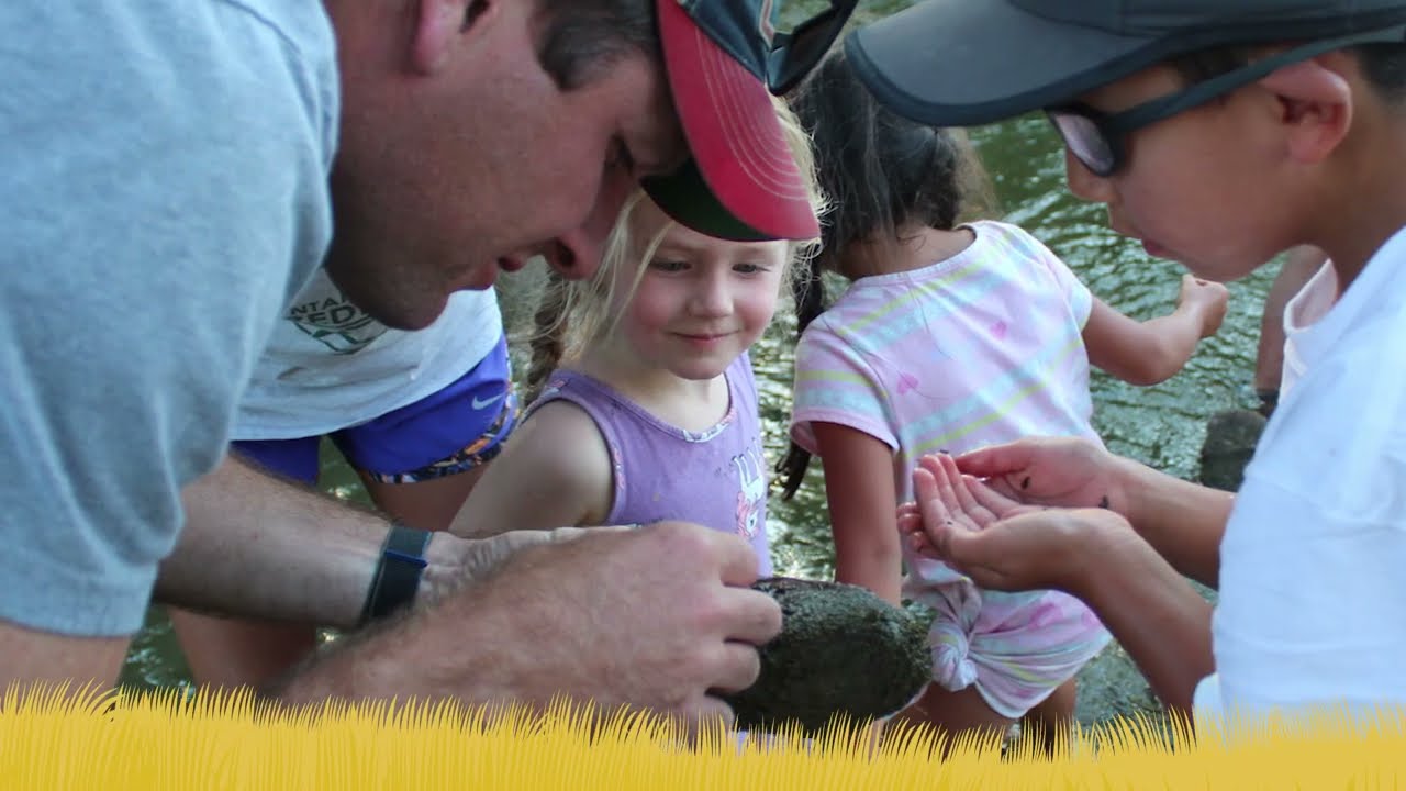 Nature WY: Macroinvertebrates