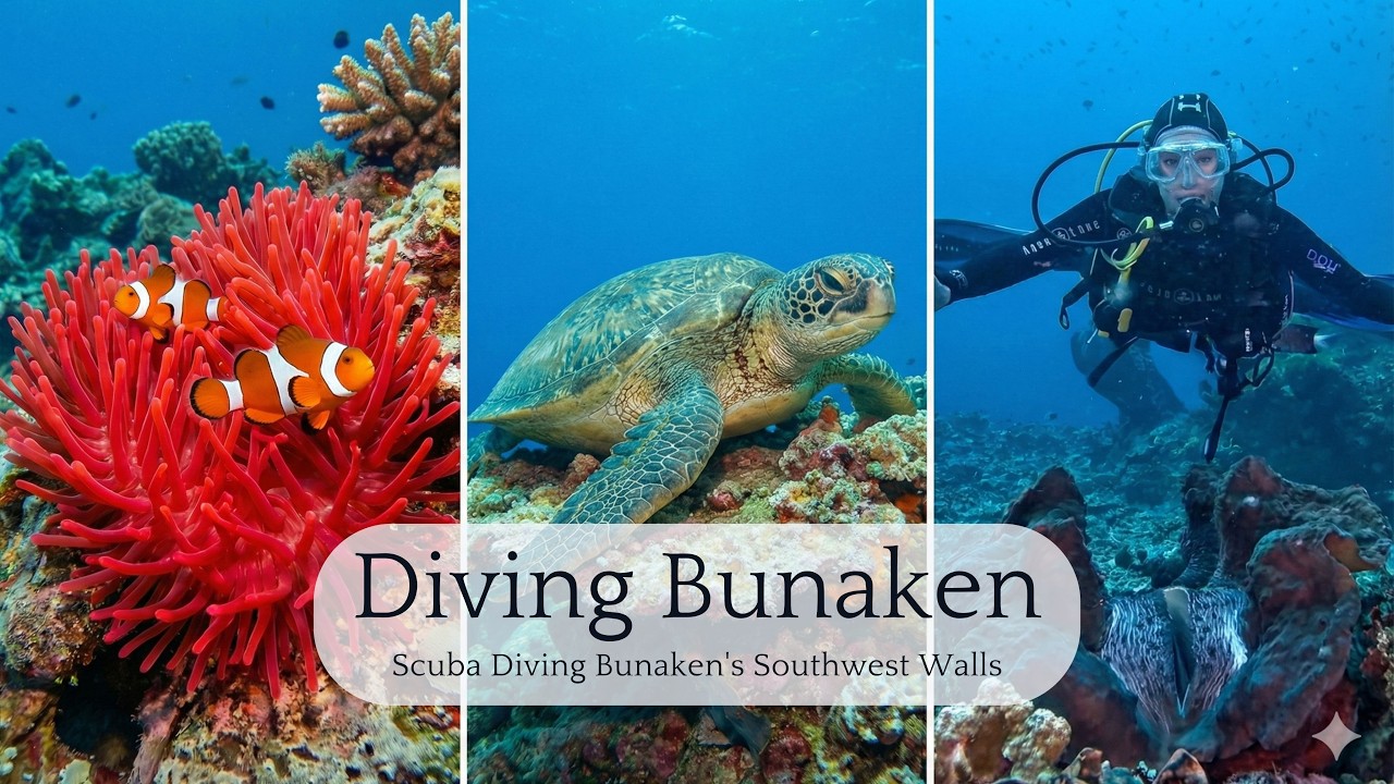 Scuba Diving Bunaken's Southwest Walls: Alung Banua, Bastianos 5, Fukui & Mandolin #scubadiving