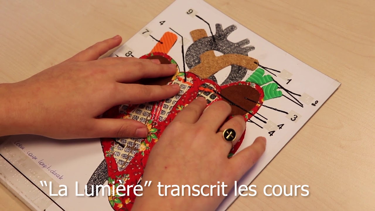 Le braille : un outil indispensable aux personnes aveugles ou tr&egrave;s malvoyantes