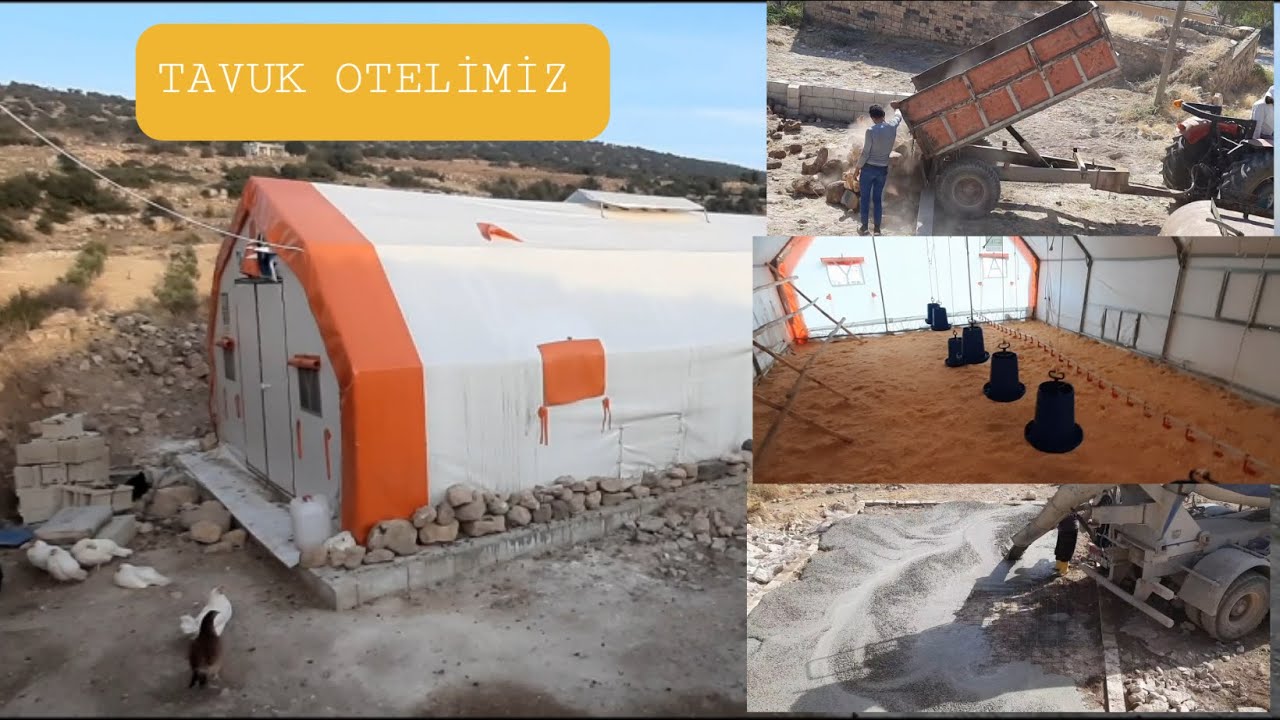 300 BAŞLIK TAVUK ÇADIRI YAPIM ve MALİYET VİDEOMUZ.