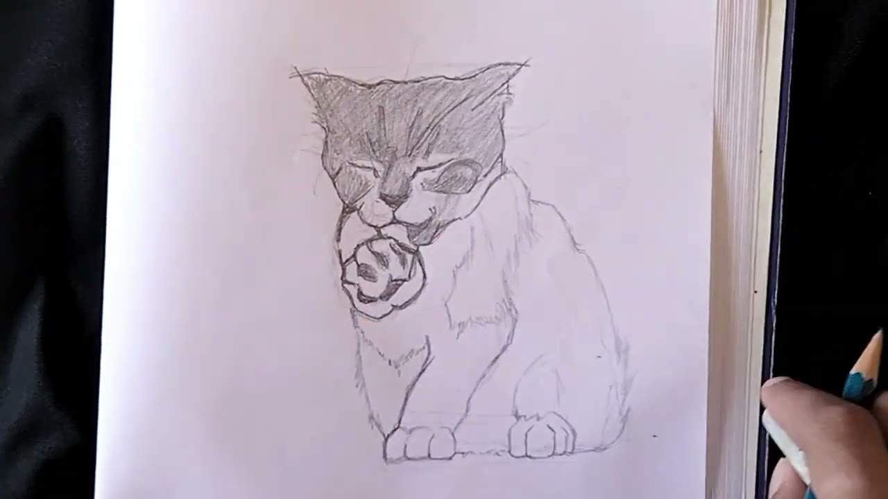 Drawing a Cat | Art Tutorial