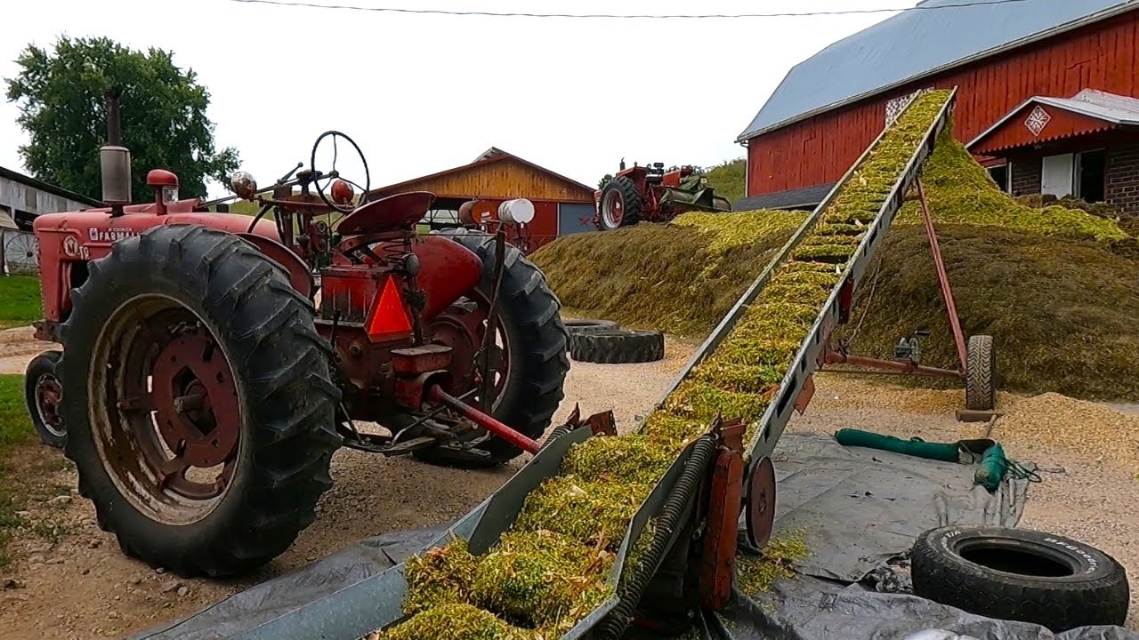 Could That Pile Get Any BIGGER? Chopping Corn Silage 2023!