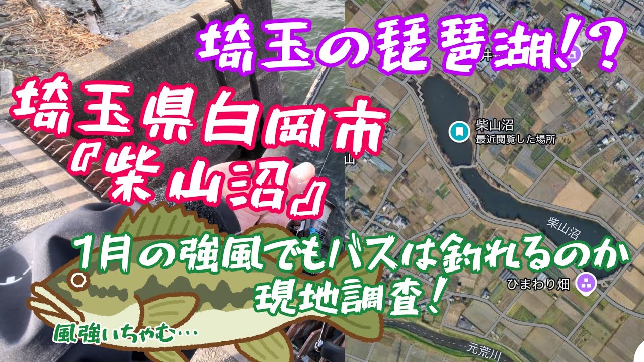 【埼玉バス釣り】埼玉の琵琶湖！柴山沼でバス釣り調査！1月の強風に勝てるのか？