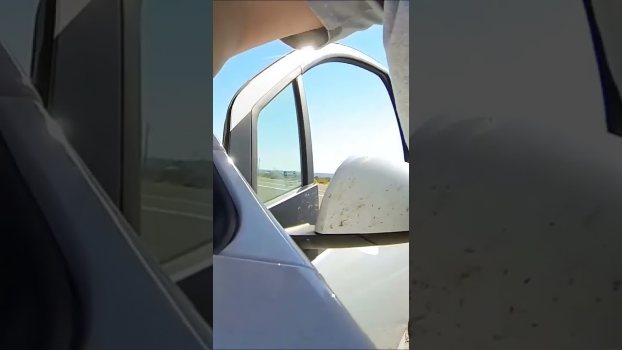 U.S. Border Patrol Stop Stick Removal & Immigration Checkpoint Camera Calibration #policeabuse #ice