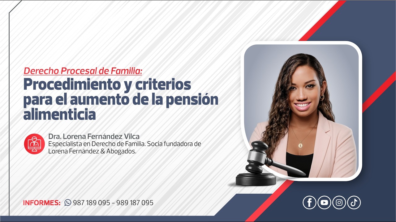 Procedimiento y Criterios para el Aumento de la Pensión Alimenticia | Lorena Fernández Vilca