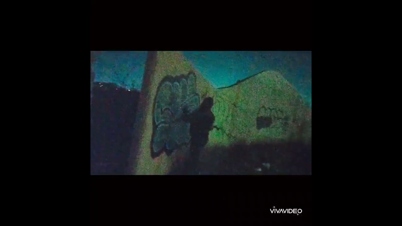 (VANDAL GRAFFITI) SJR,QRO, ILEGALES 
