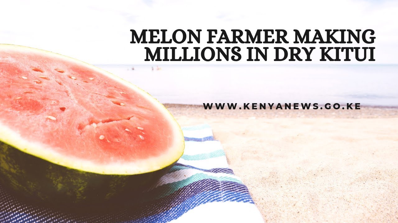 Melon farmer making millions in dry Kitui