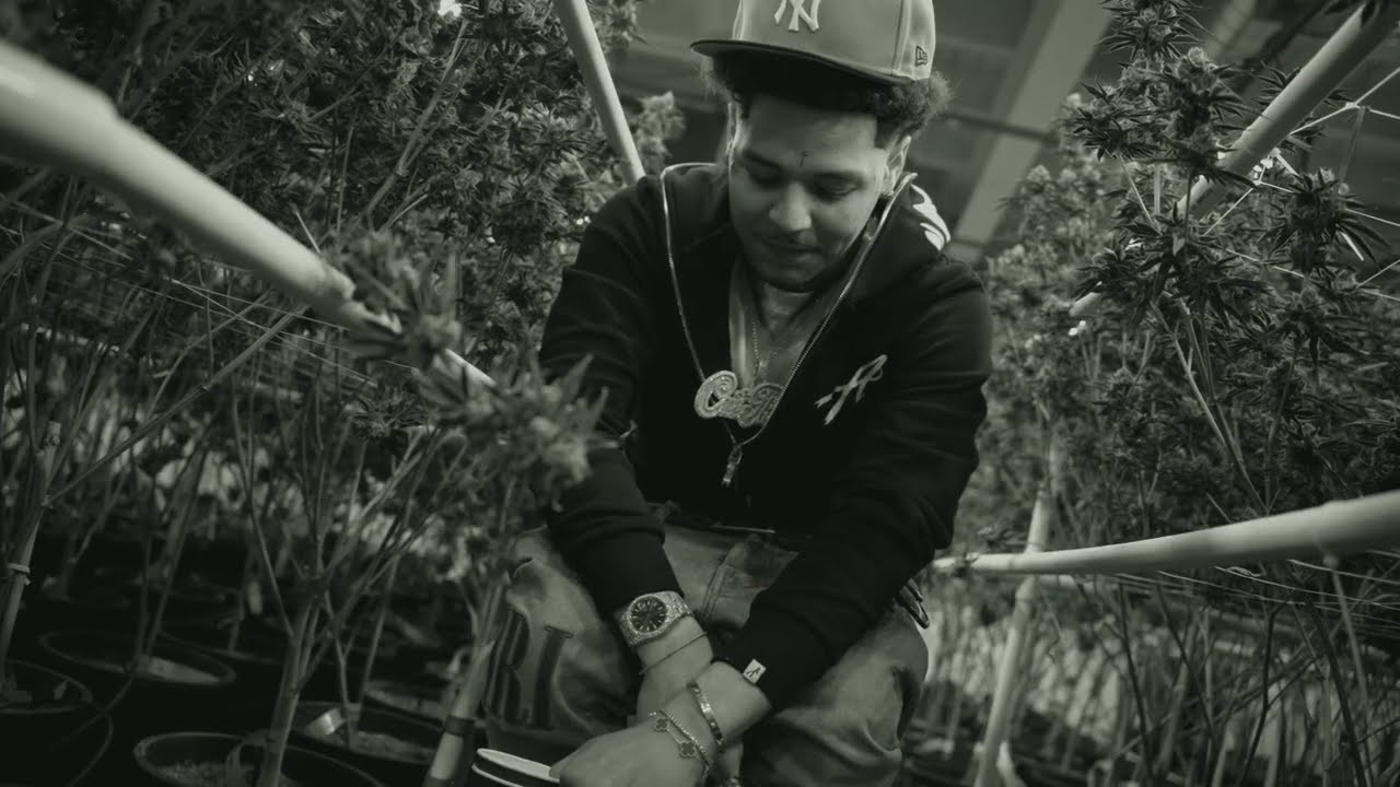 MoneyBagz Buzz - Dropping Jewels (Official Music Video)