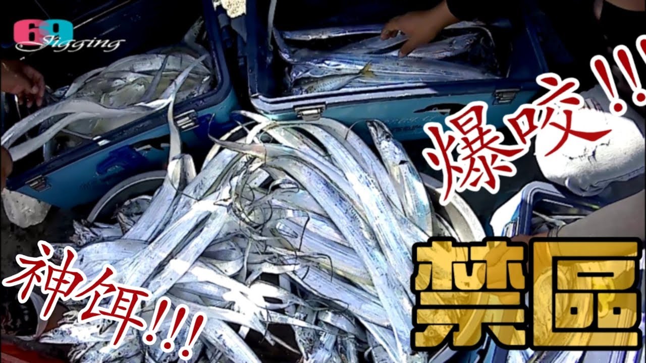 [路亞擬餌] 爆咬啊!大白天岸拋白帶166匹!!是什麼神餌這麼強???... 2018/12/台灣69J釣魚俱樂部(69J Fishing Club)
