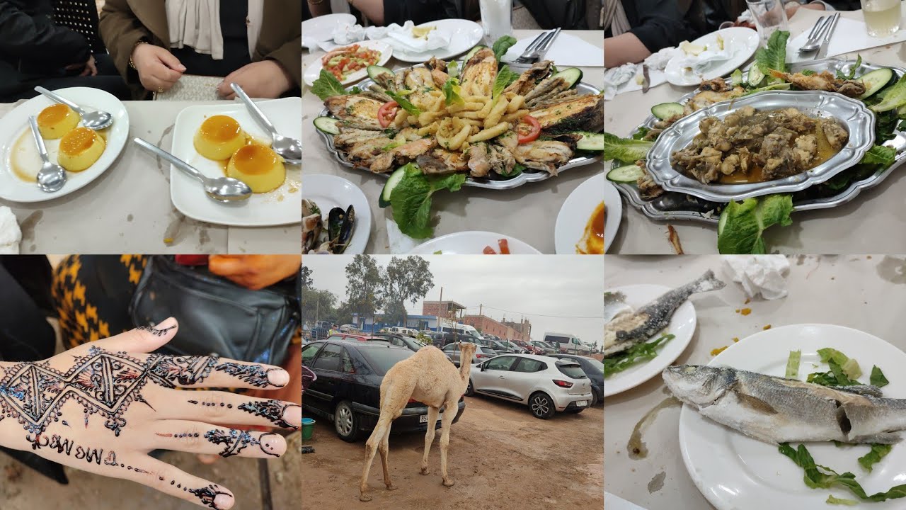 اليوم الريفية معروضة الفزوان 😍👍🏼