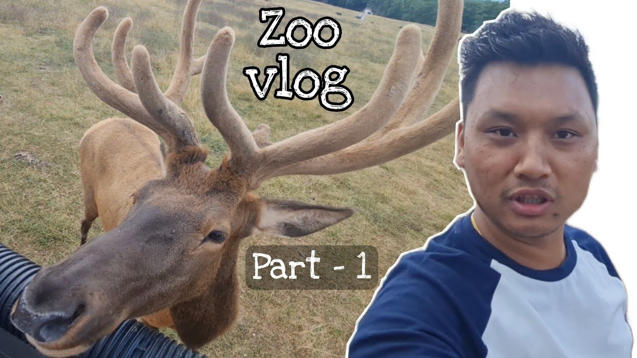 jungle safari || zoo vlog || arru mix || part-1