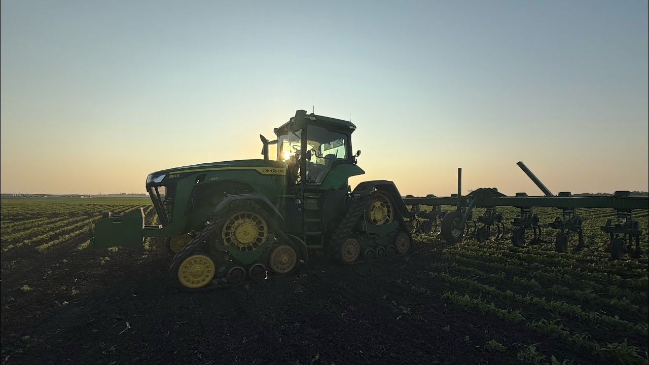 Organic Farming | Maintaining An Organic Soybean Field | Mechanical Weed Control