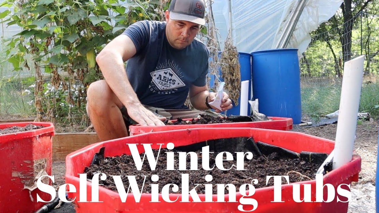 Self Wicking Tubs for Winter Gardening