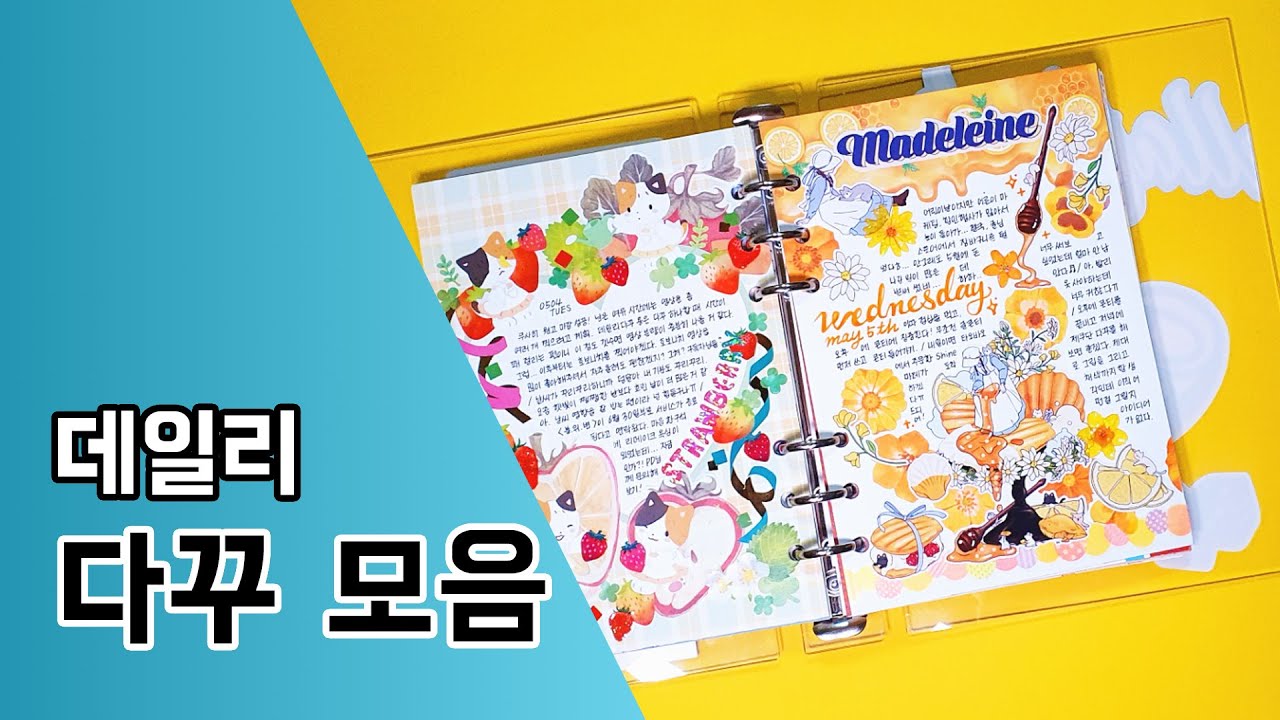 다이어리꾸미기 0135. 데일리다꾸 모음 / Journal with me