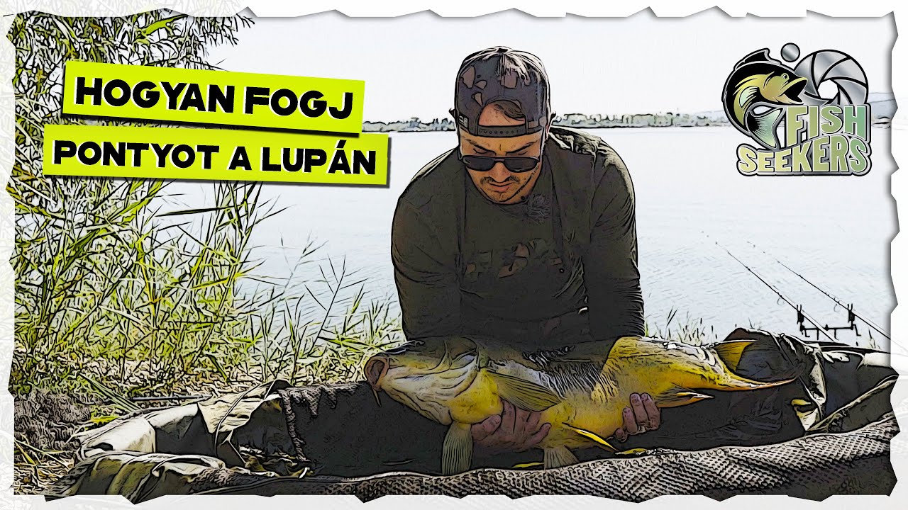 HOGYAN fogj PONTYOT a Lupán  - Lupa Fishing