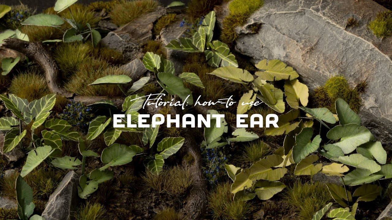 Tutorial: How-to use ELEPHANT EAR Laser Plant