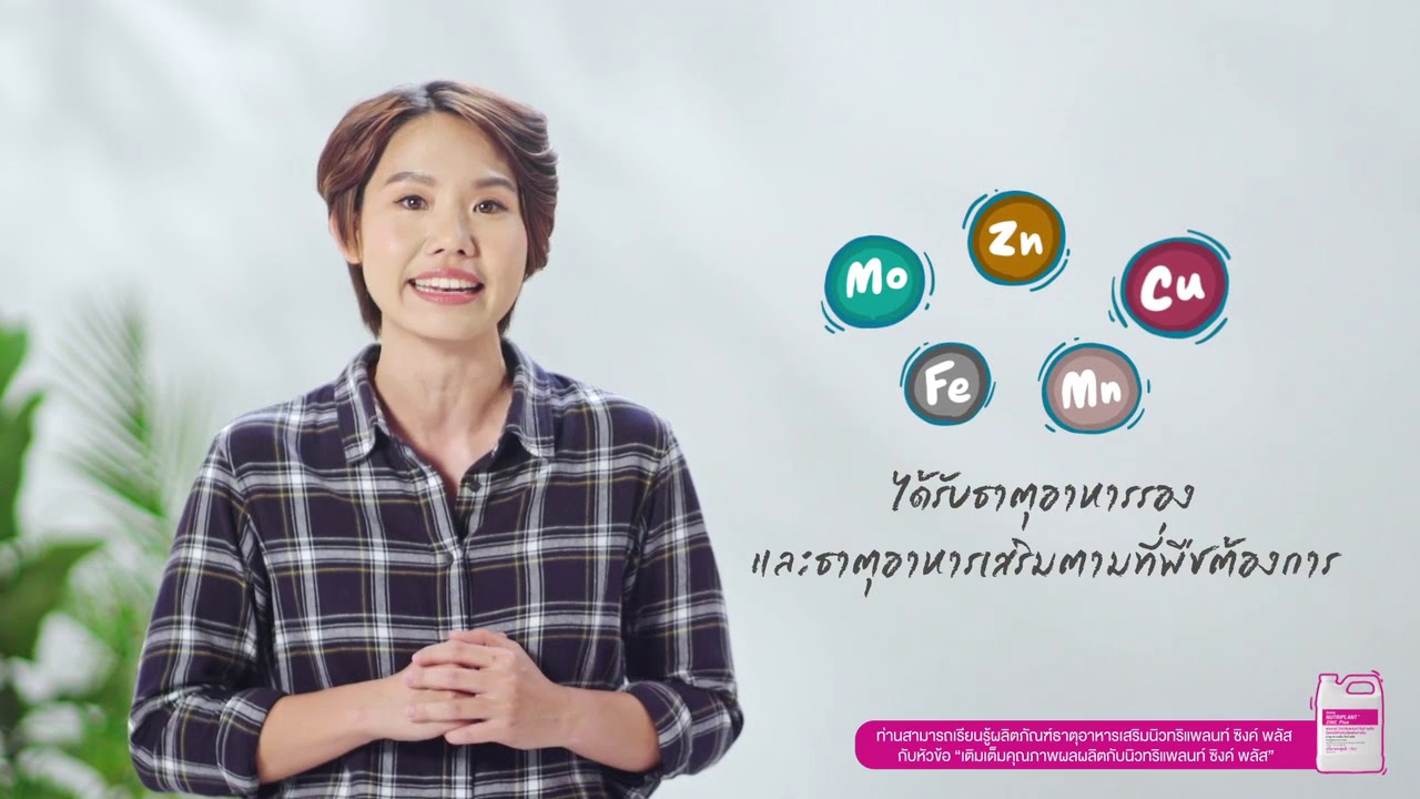ธาตุอาหารรองและธาตุอาหารเสริม เติมเต็มความสมบูรณ์ให้กับพืชได้อย่างไร