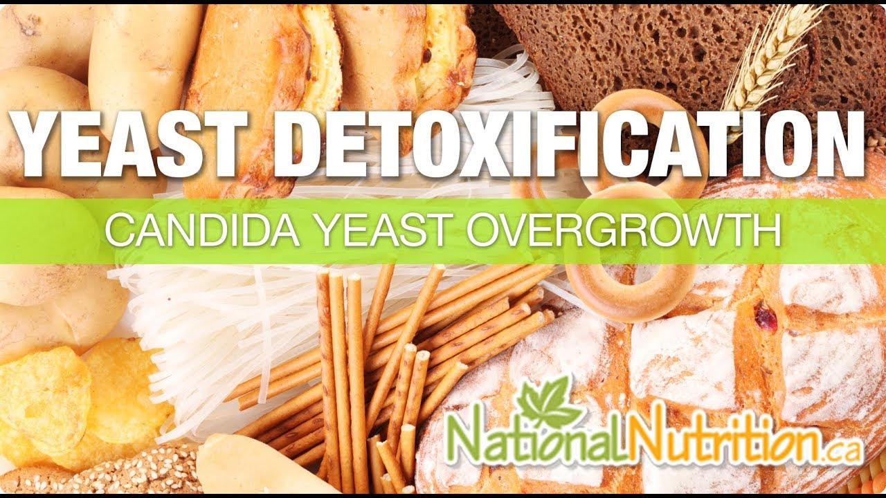 Natural Health Reviews - Yeast Detoxification - Candida & Yeast Overgrowth | National Nutrition