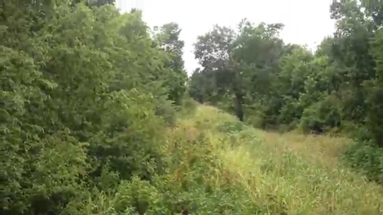 Railroad Spraying for Weeds
