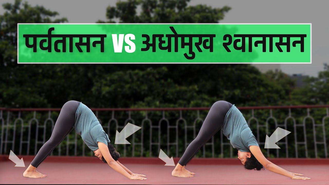 अधो मुख स्वानासन VS  पर्वतासन |  Adho Mukha Swanasan VS Parvatasan in Hindi