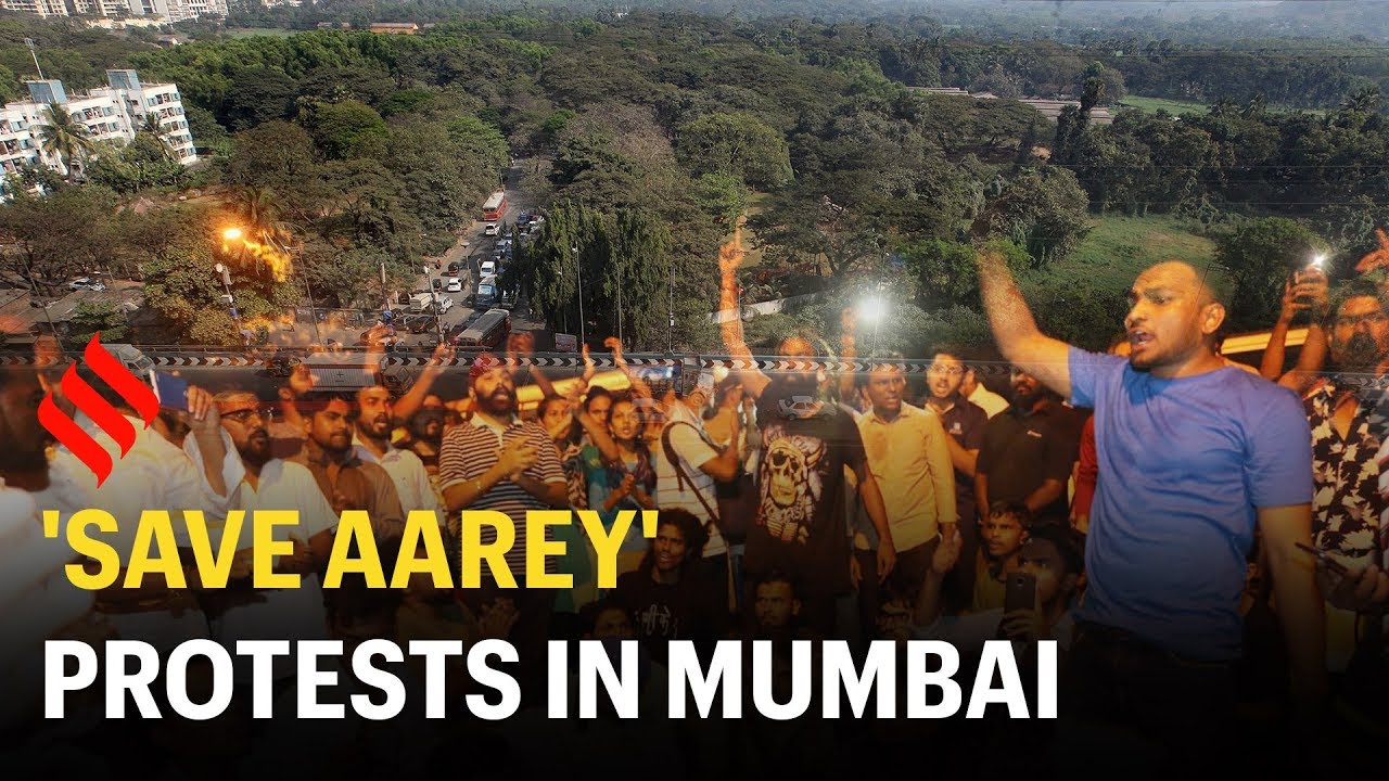 Mumbai's Aarey forest protests: What you should know