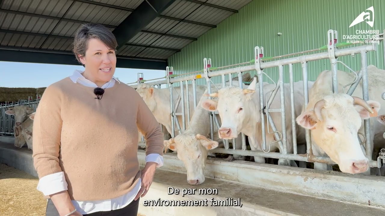Témoignage de Cécile Contal, éleveuse de Charolaises en Seine-et-Marne
