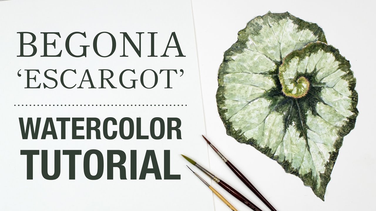 How to paint a silver Begonia leaf // Botanical Watercolor Tutorial