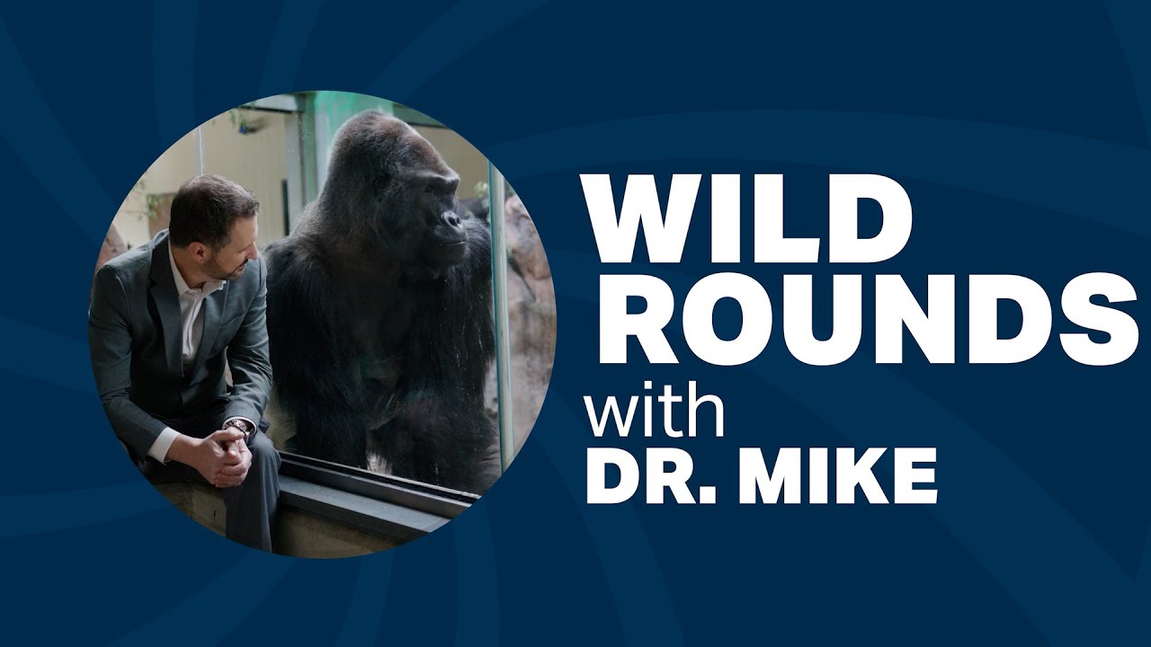 Wild Rounds With Dr. Mike: Episode 1