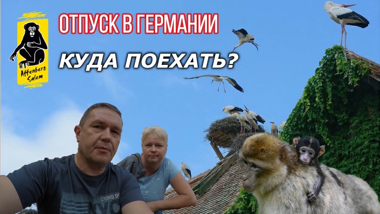 Куда поехать в Германии всей семьёй / Гора обезьян / Affenberg Salem