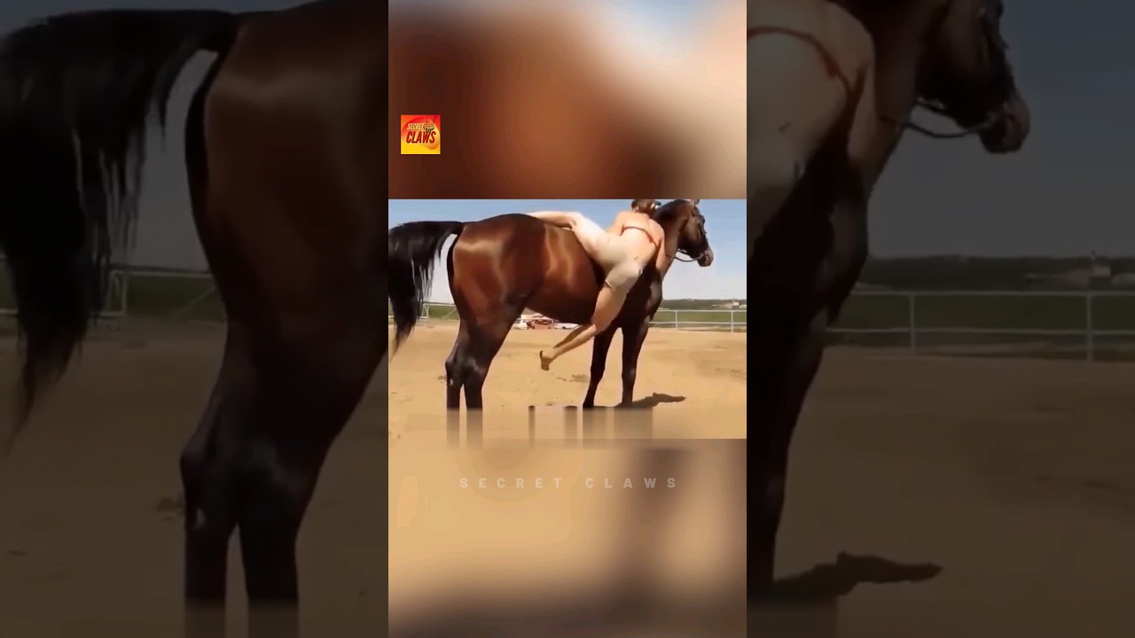 This Horse Went Viral After This Video #animals #viralvideo