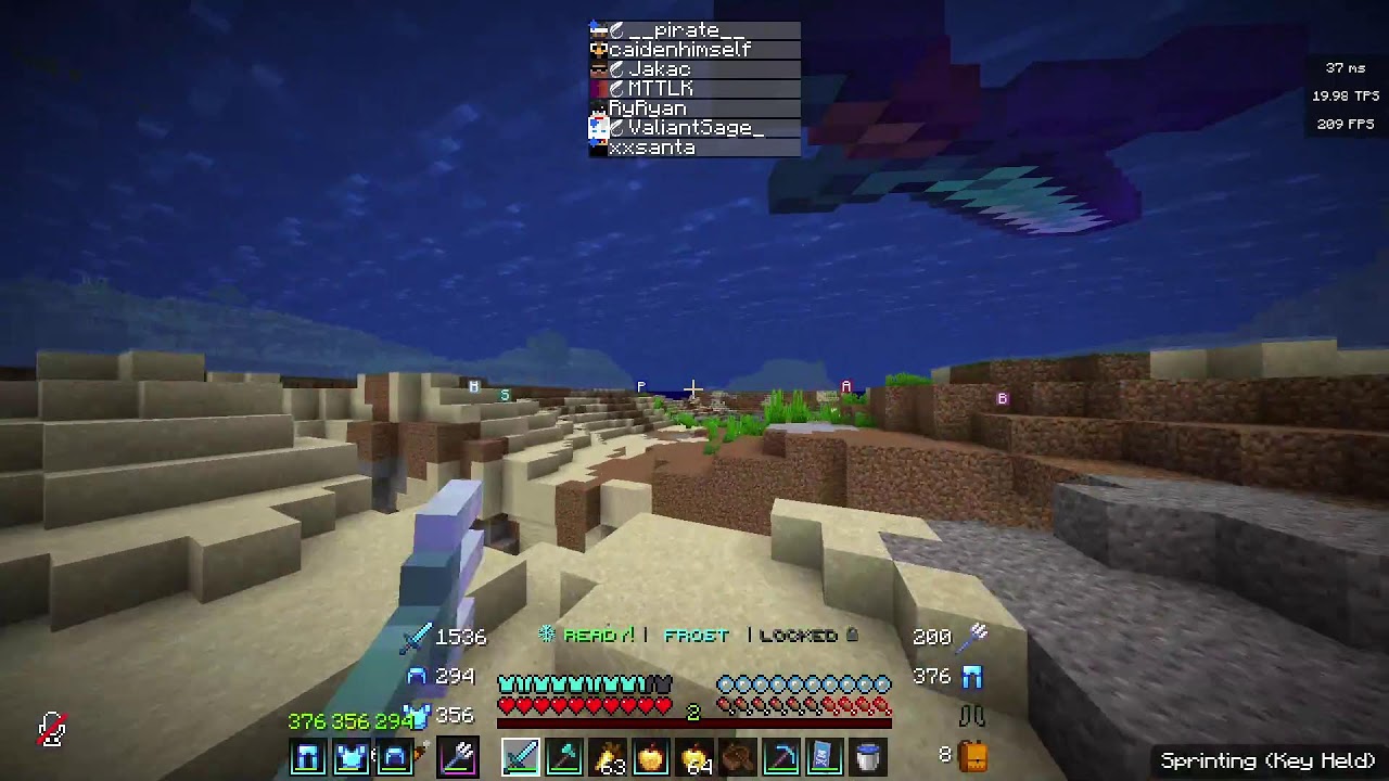 Taking a fight on Cryptic smp